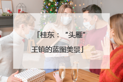 桂东：“头雁”王镇的蓝图美景